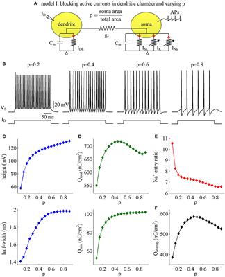 Dendritic Properties Control Energy Efficiency of Action Potentials in Cortical Pyramidal Cells